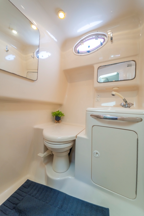 azimut 40ft searay miami yachts